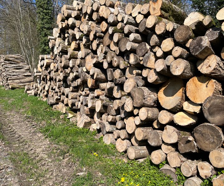 Van iets onder Dinant tot Rocroi alleen maar hout 🪵 industrie 